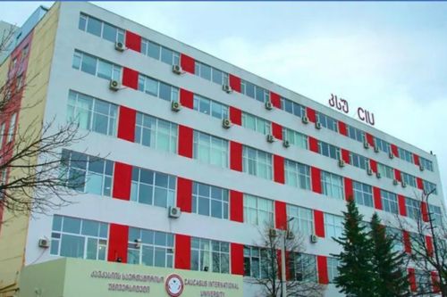 Caucasus’s International University (2)